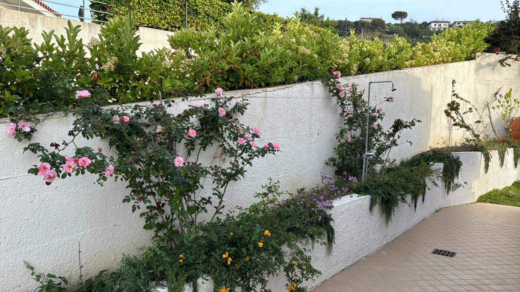 Villa Dei Fiori 赞布隆内 外观 照片
