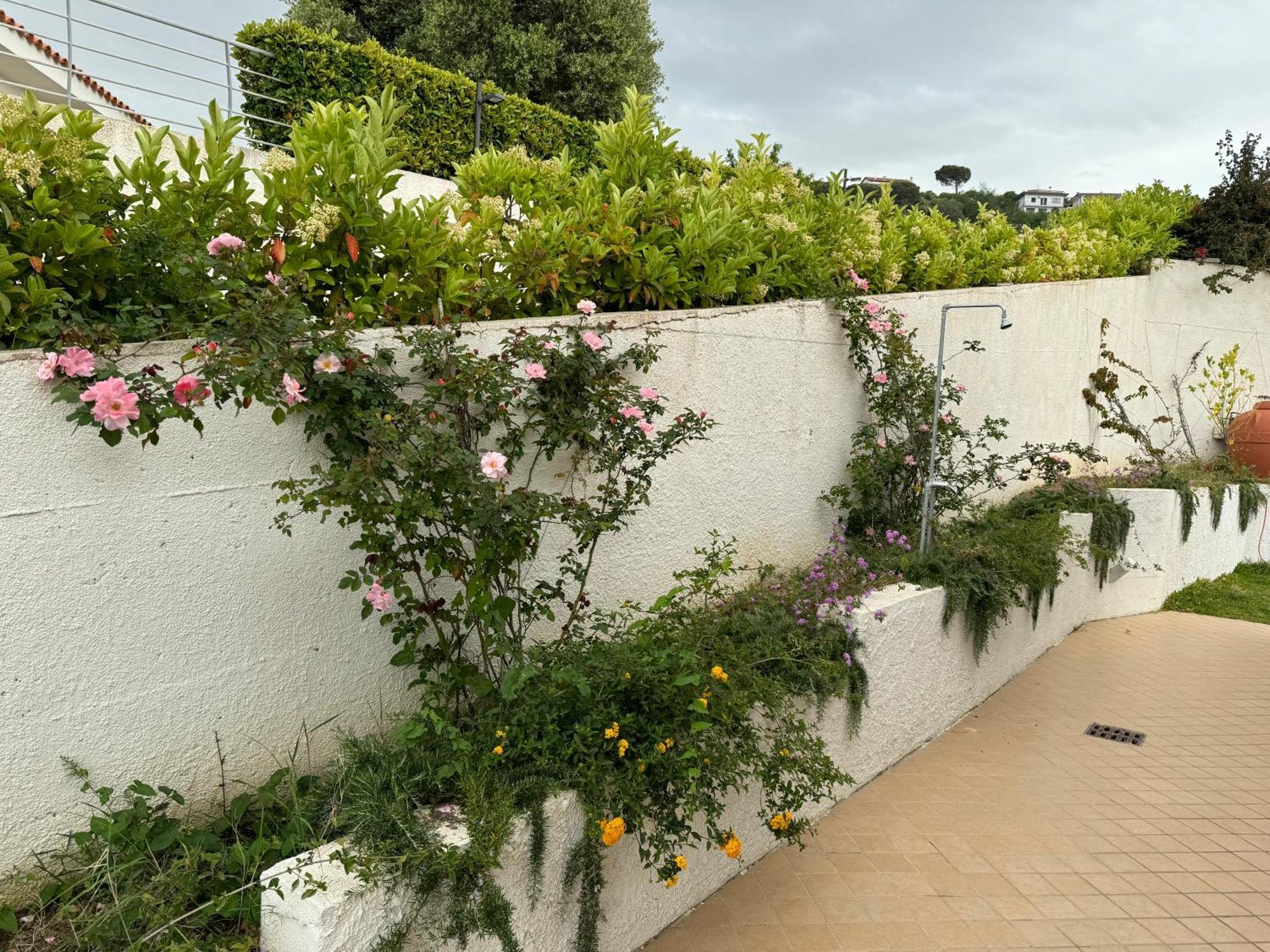 Villa Dei Fiori 赞布隆内 外观 照片